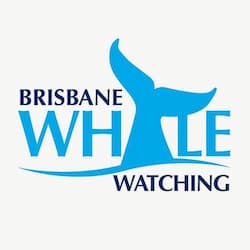 shorlink's client brisbane whale watching logo